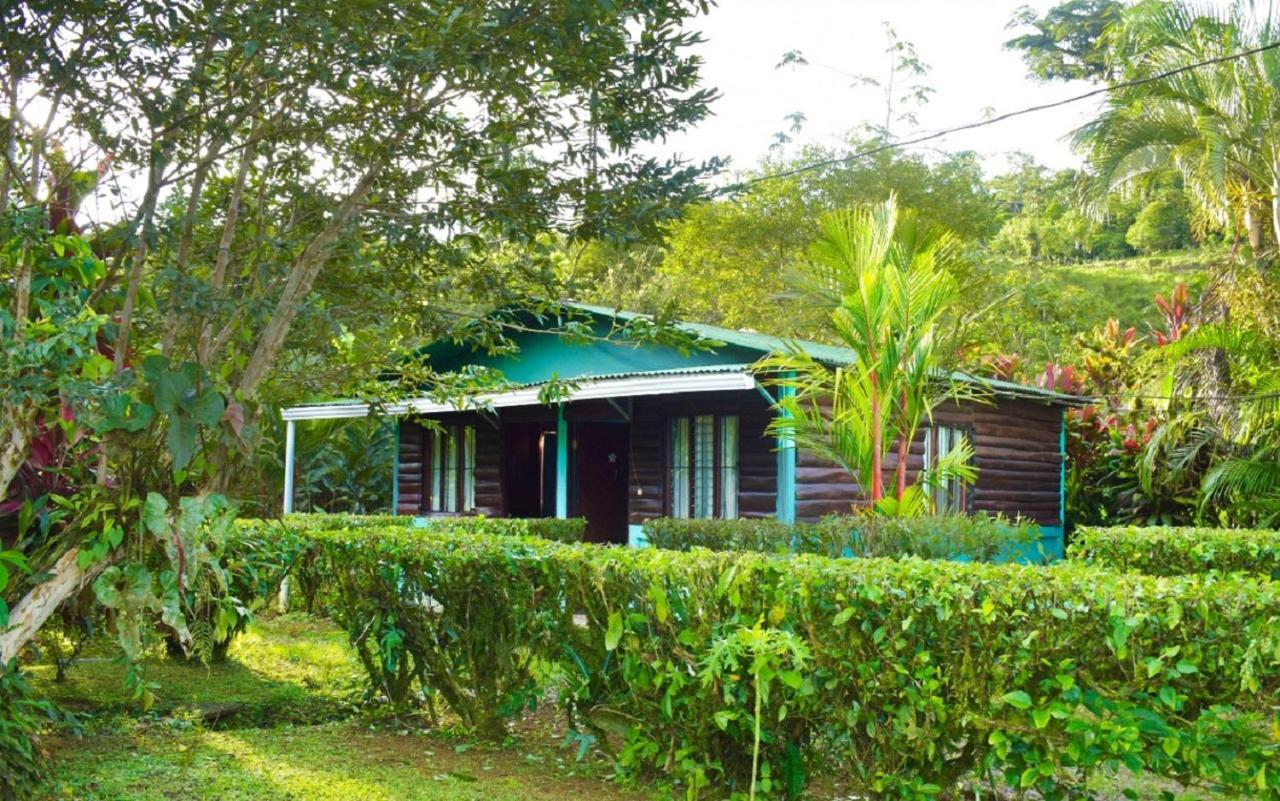 Bed and Breakfast Cabinas Rio Celeste La Amistad Exterior foto