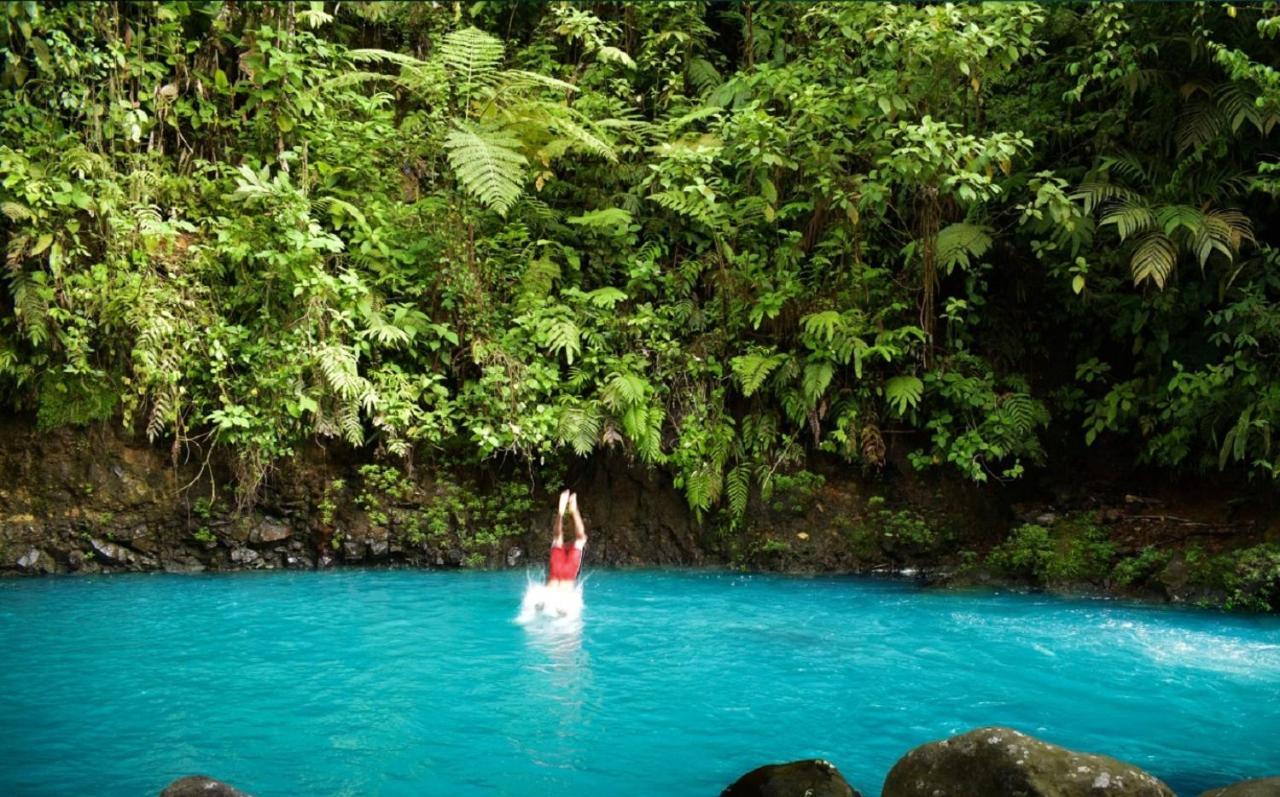 Bed and Breakfast Cabinas Rio Celeste La Amistad Exterior foto