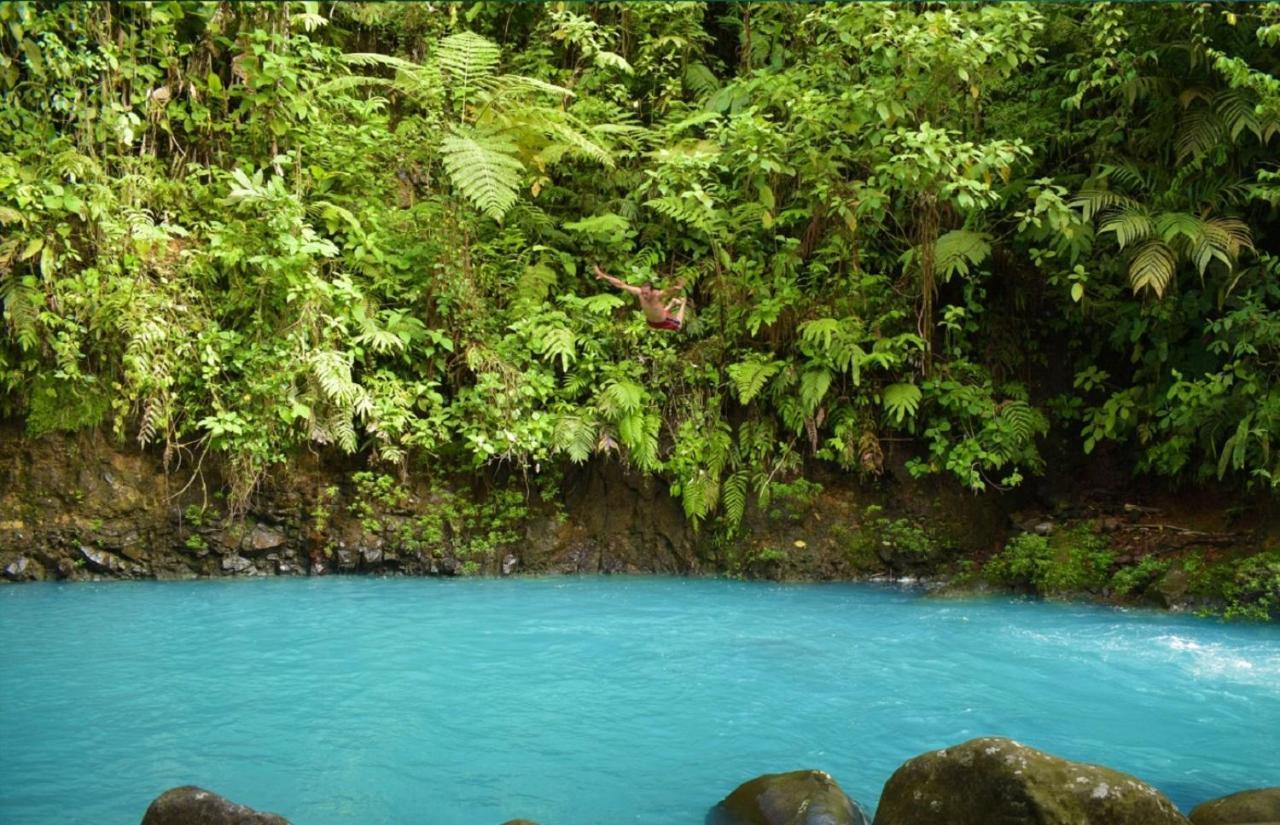 Bed and Breakfast Cabinas Rio Celeste La Amistad Exterior foto