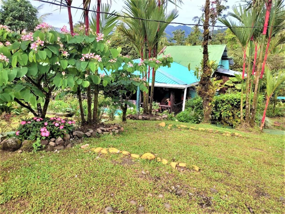 Bed and Breakfast Cabinas Rio Celeste La Amistad Exterior foto