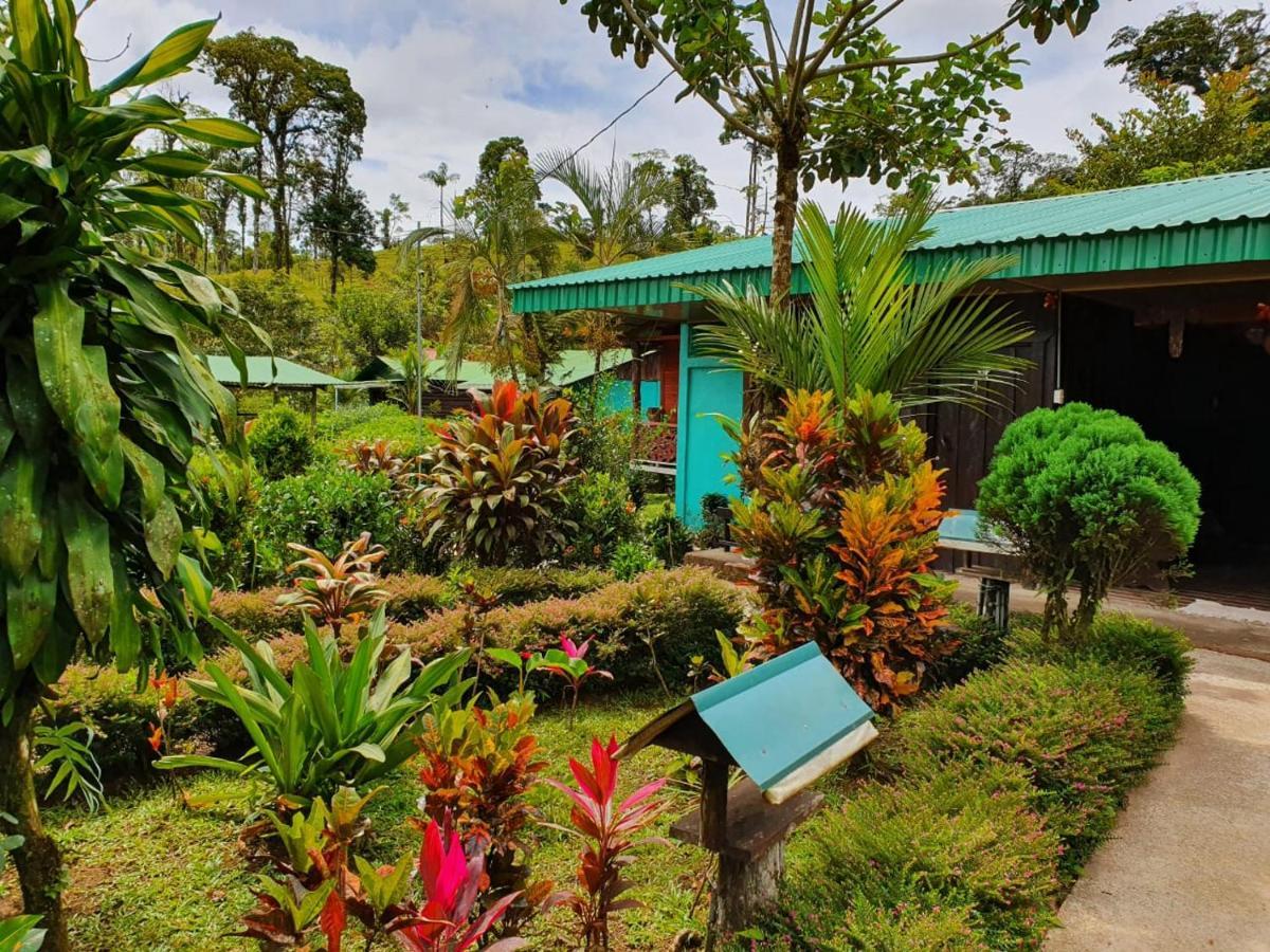 Bed and Breakfast Cabinas Rio Celeste La Amistad Exterior foto