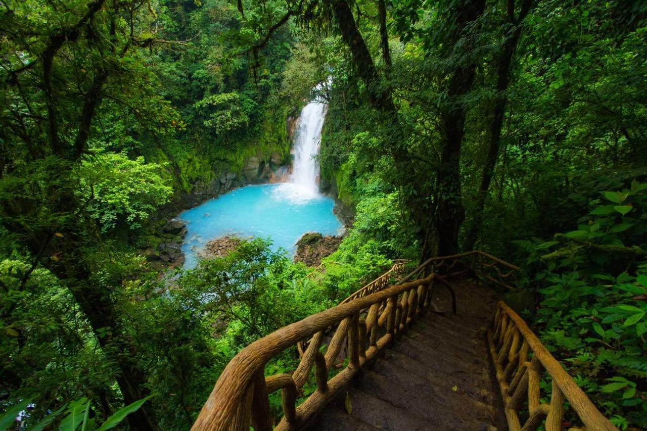 Bed and Breakfast Cabinas Rio Celeste La Amistad Exterior foto