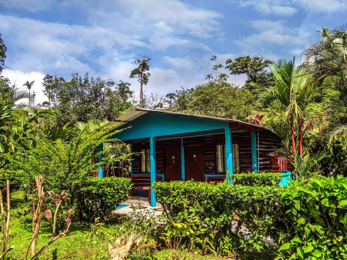 Bed and Breakfast Cabinas Rio Celeste La Amistad Exterior foto