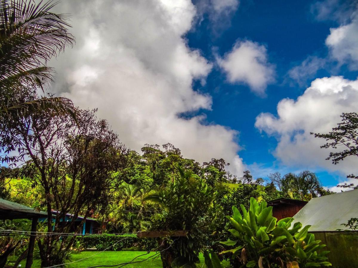 Bed and Breakfast Cabinas Rio Celeste La Amistad Exterior foto