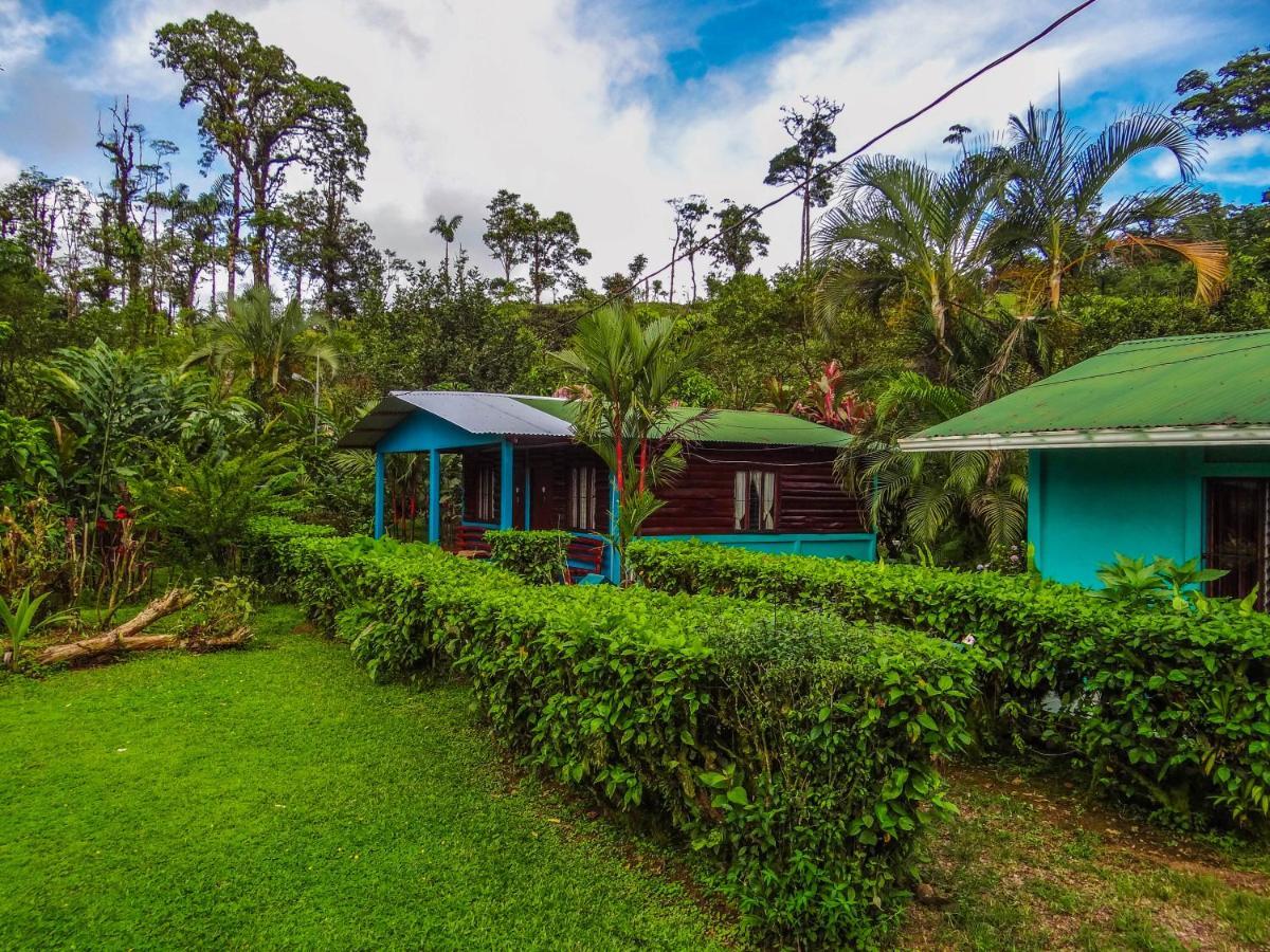 Bed and Breakfast Cabinas Rio Celeste La Amistad Exterior foto