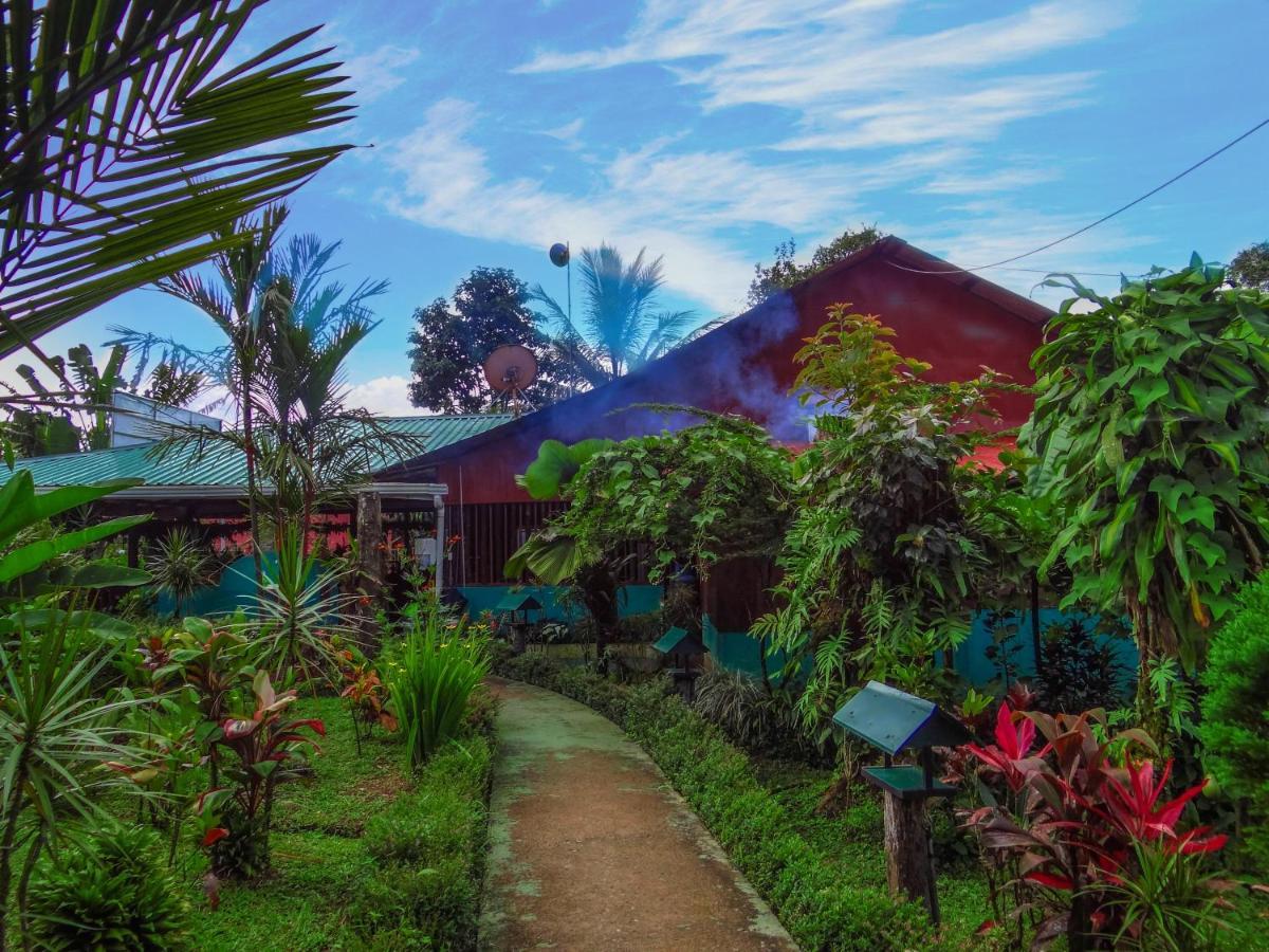 Bed and Breakfast Cabinas Rio Celeste La Amistad Exterior foto