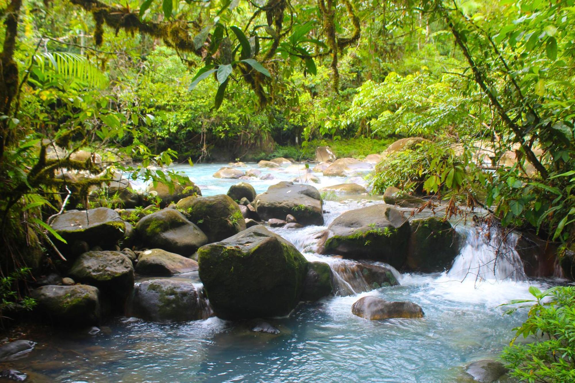 Bed and Breakfast Cabinas Rio Celeste La Amistad Exterior foto