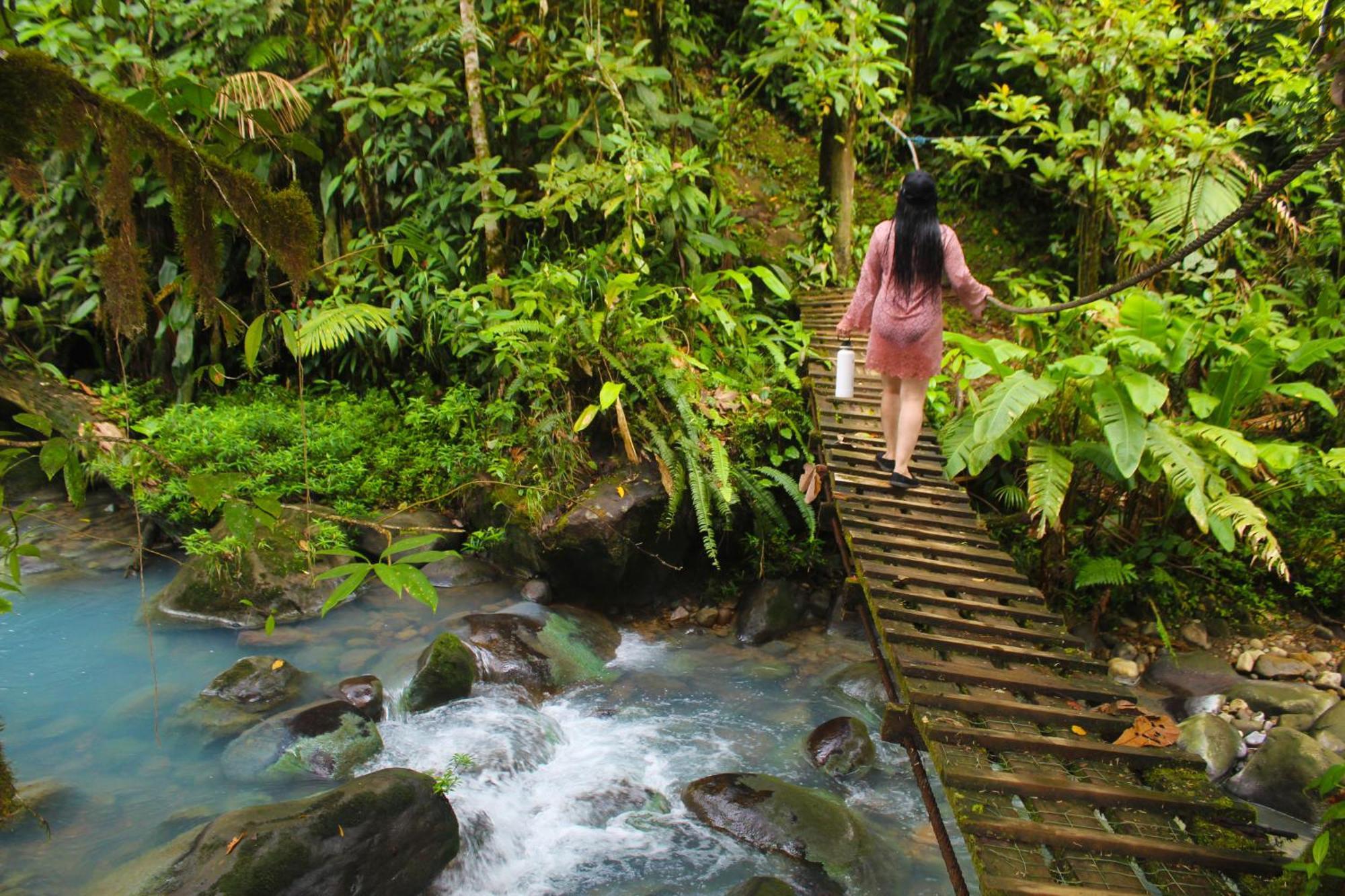 Bed and Breakfast Cabinas Rio Celeste La Amistad Exterior foto