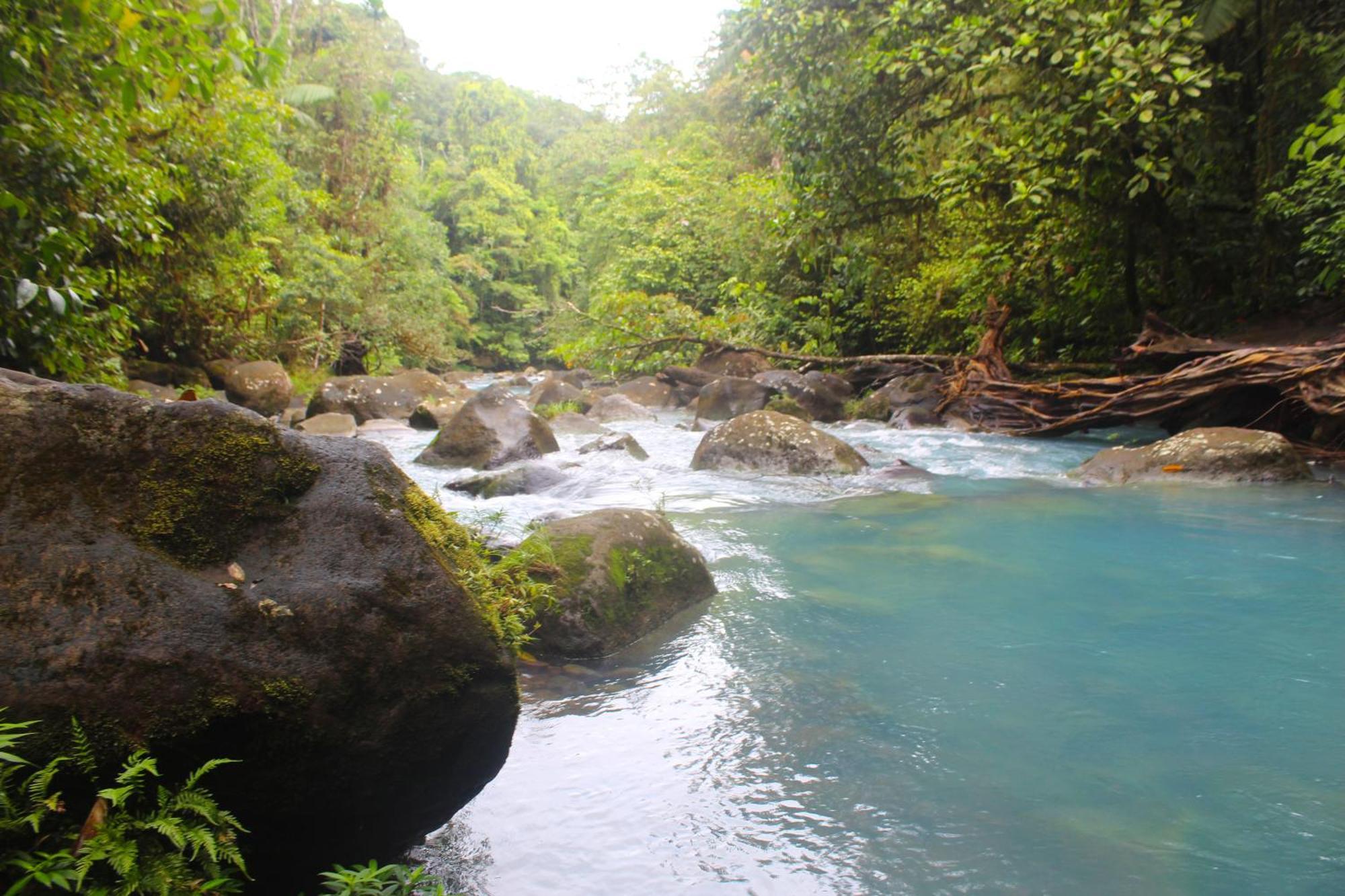 Bed and Breakfast Cabinas Rio Celeste La Amistad Exterior foto