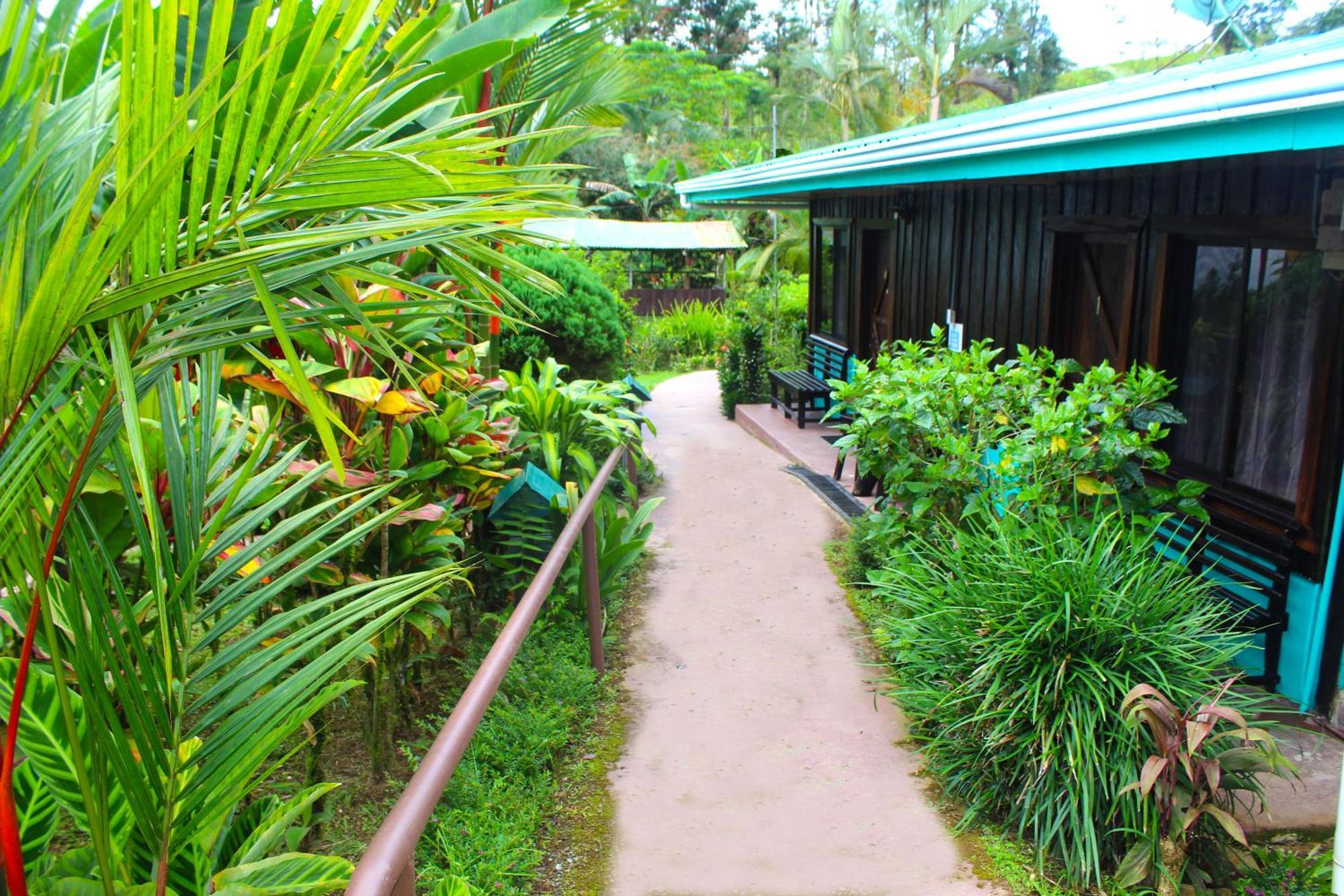 Bed and Breakfast Cabinas Rio Celeste La Amistad Exterior foto