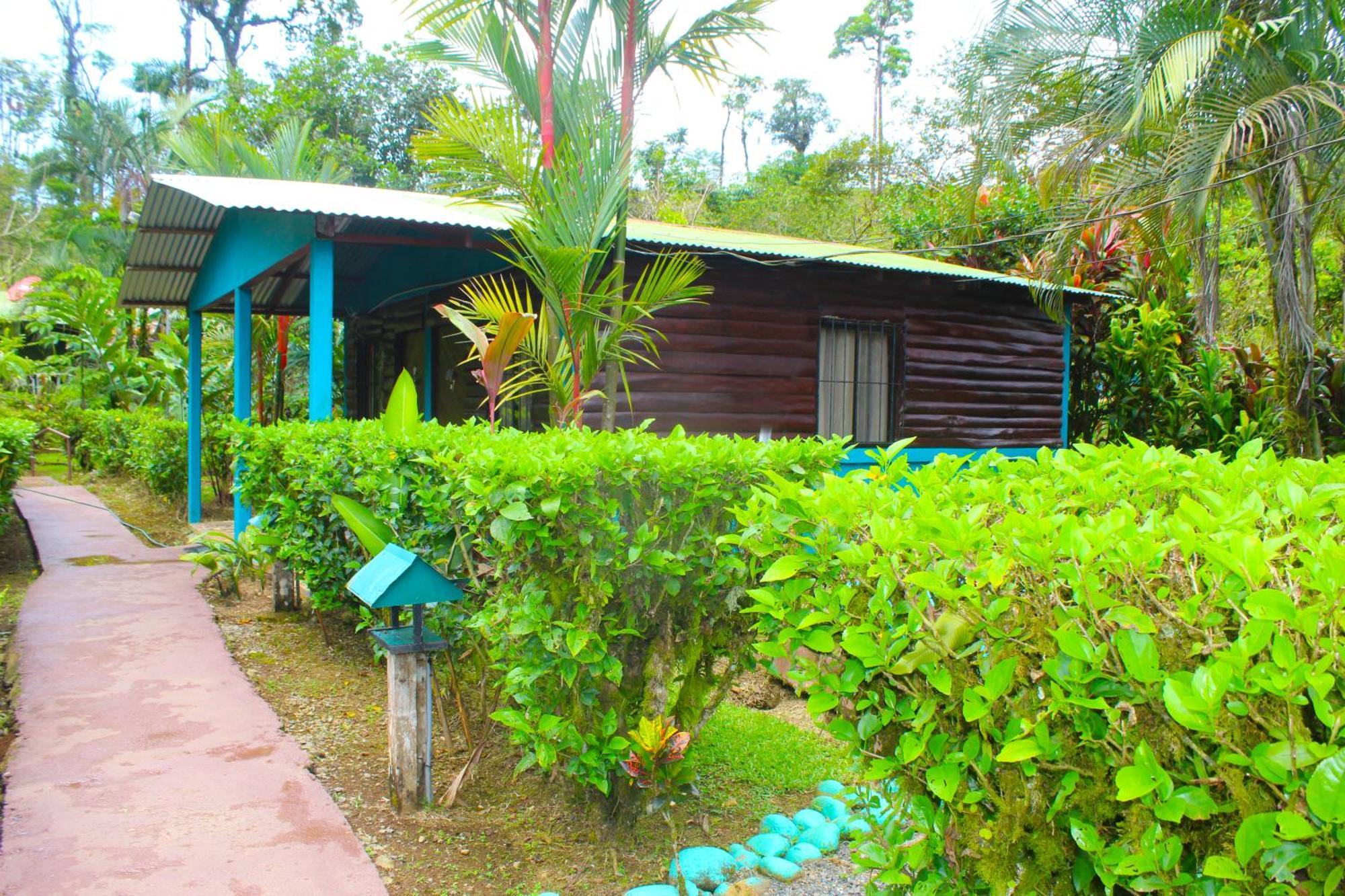 Bed and Breakfast Cabinas Rio Celeste La Amistad Exterior foto