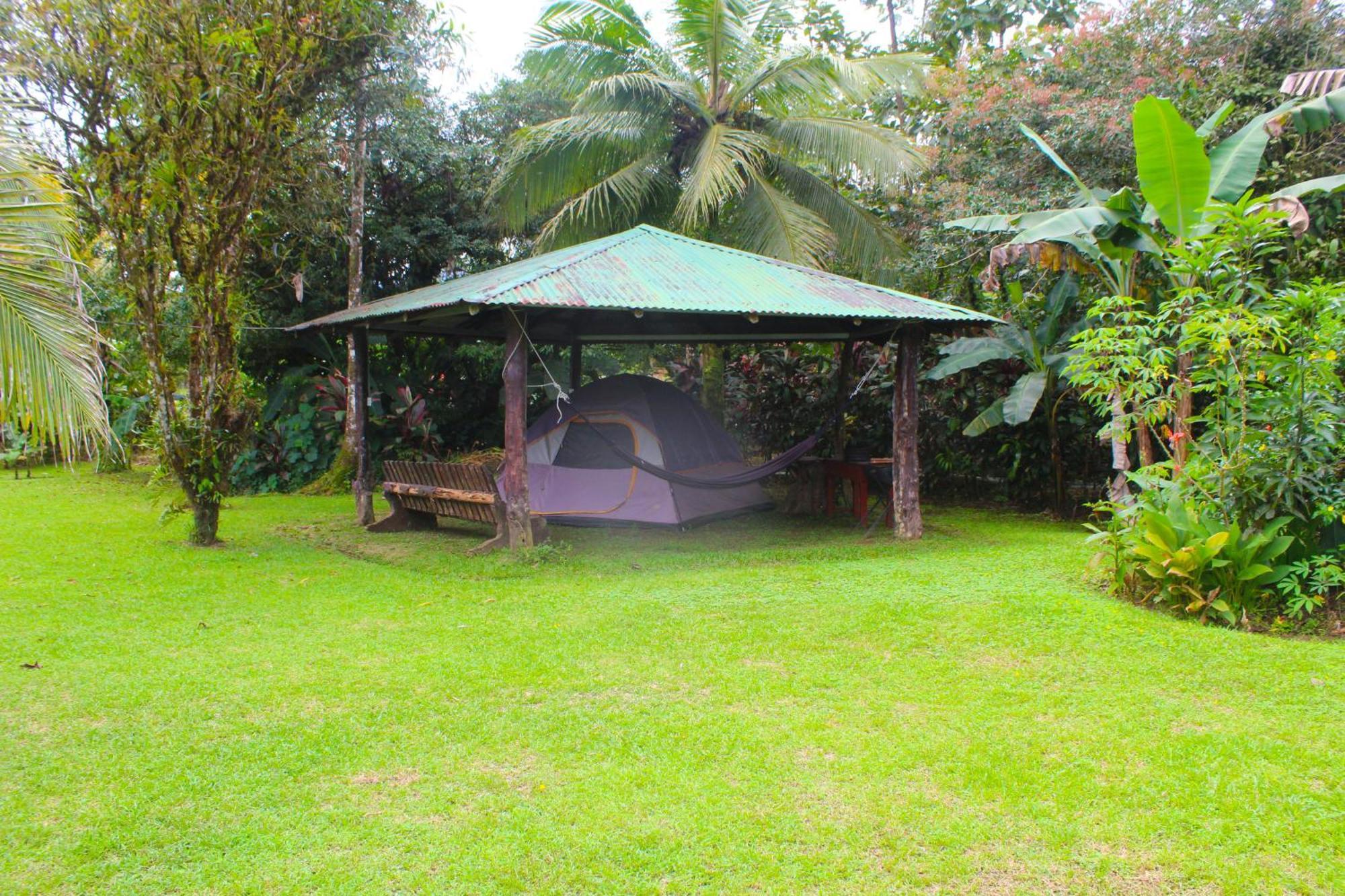 Bed and Breakfast Cabinas Rio Celeste La Amistad Exterior foto